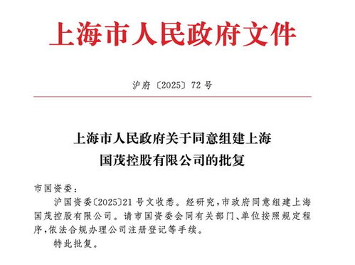 上海市政府批準成立注冊資本130億元新國企，聚焦計算機軟硬件技術研發